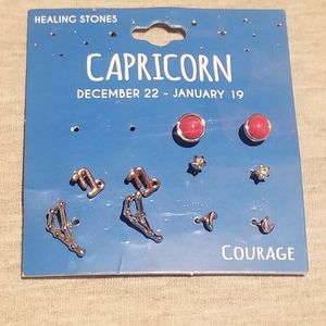 Capricorn Earrings